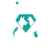 Hidden Gem Pet Resort